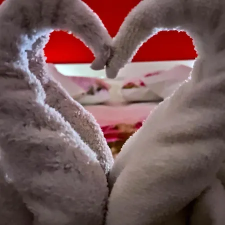 Charming Stone In The Heart Of Lejlighed Split